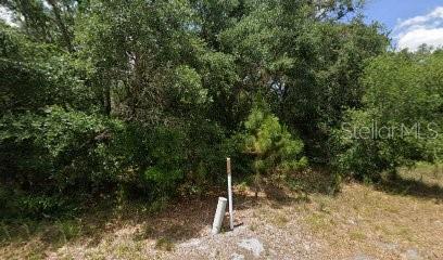 1008 Wildflower St Property Photo 7