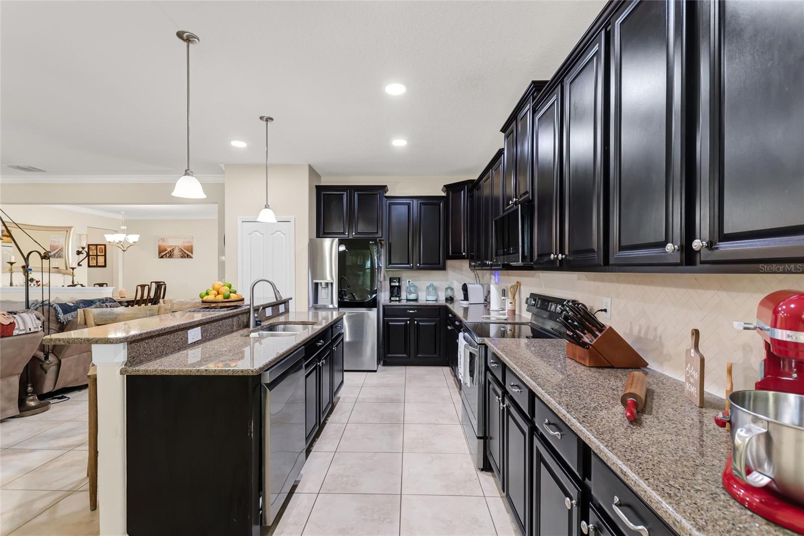 1353 Palmetto Dunes St Property Photo 15