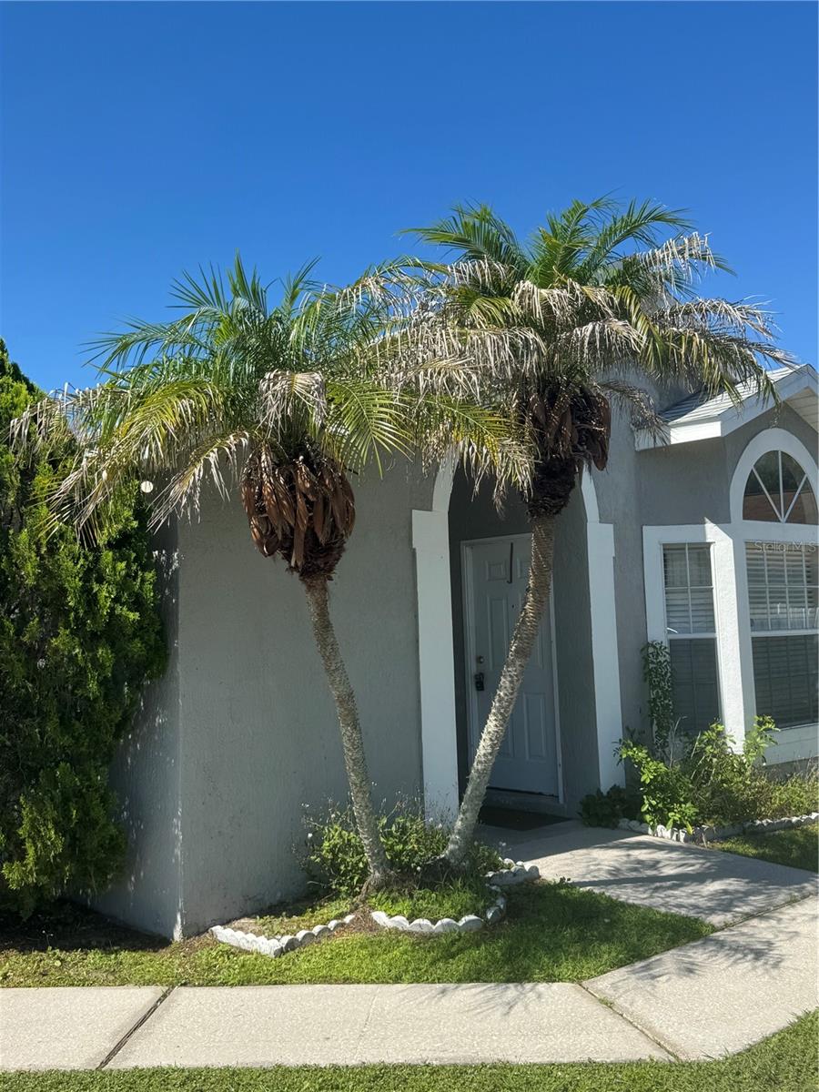 2399 HARBOR TOWN DR Property Photo 1