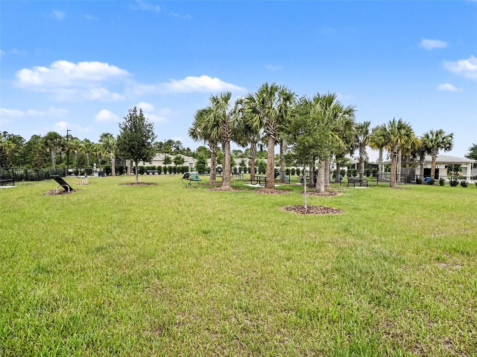 6261 Citrus Grove Ct Property Photo 27