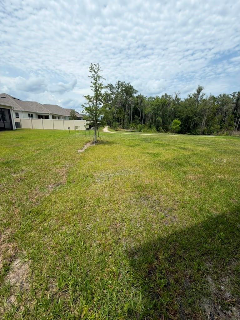 5197 Prairie Preserve Run Property Photo 22