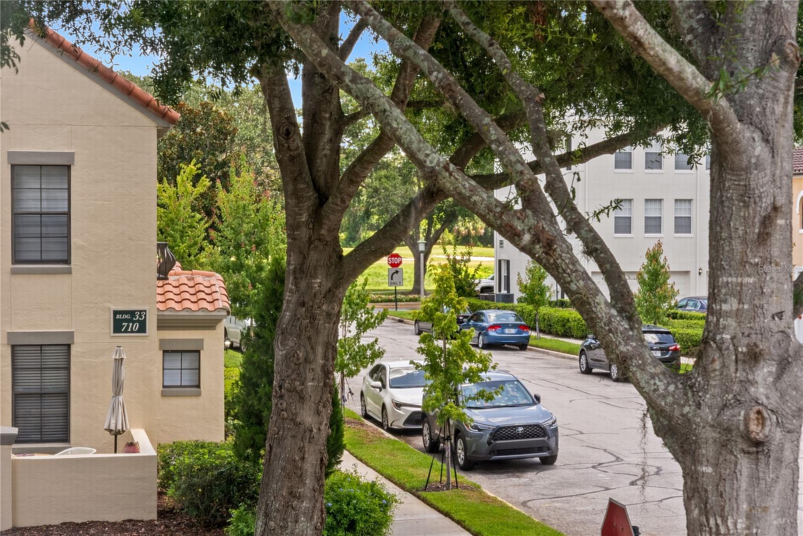714 Siena Palm Dr #201 Property Photo 48