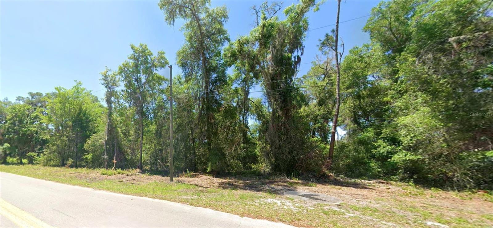 4362 E Mate Ln Property Photo 6