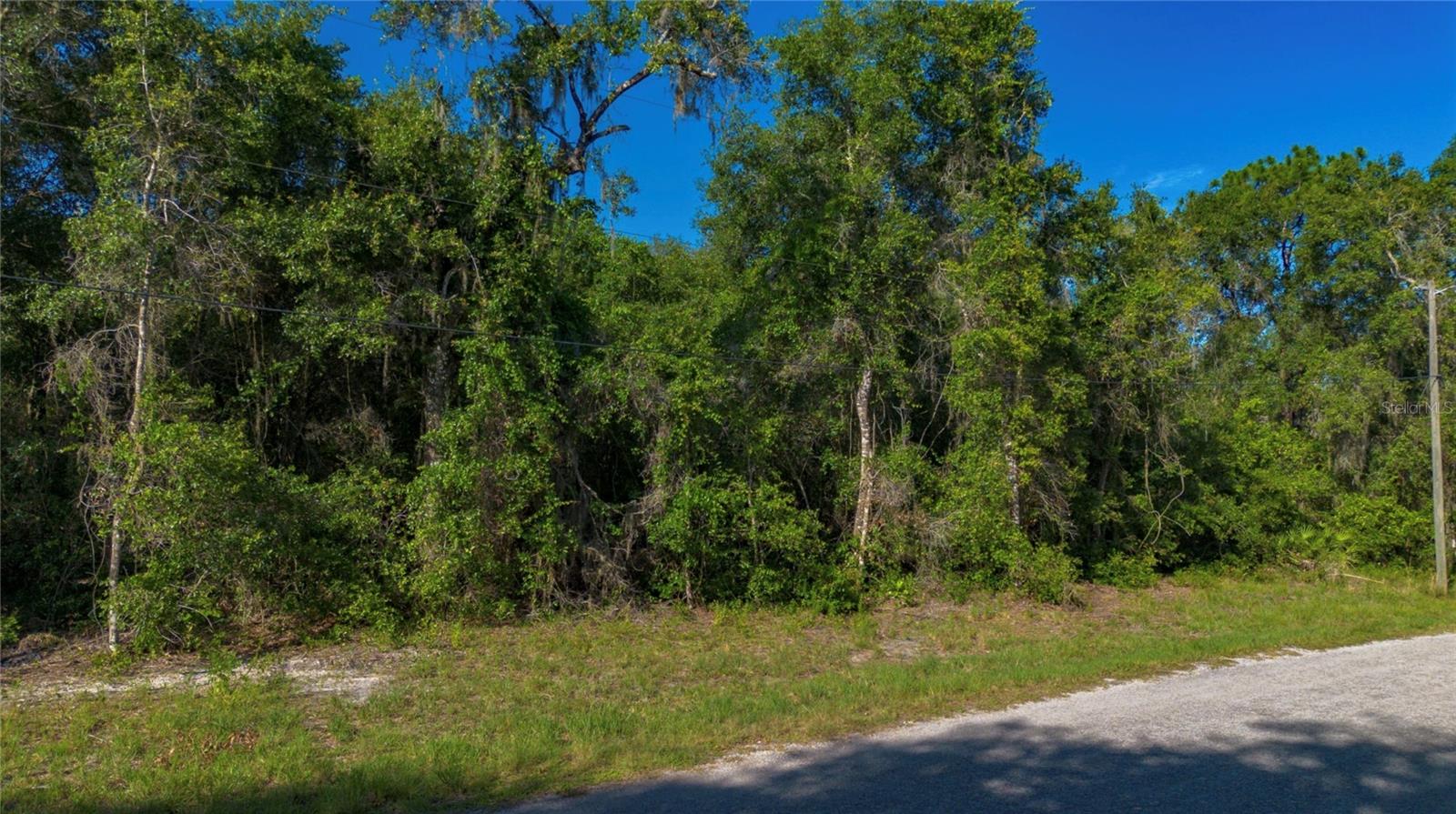 4374 E Mate Ln Property Photo 2