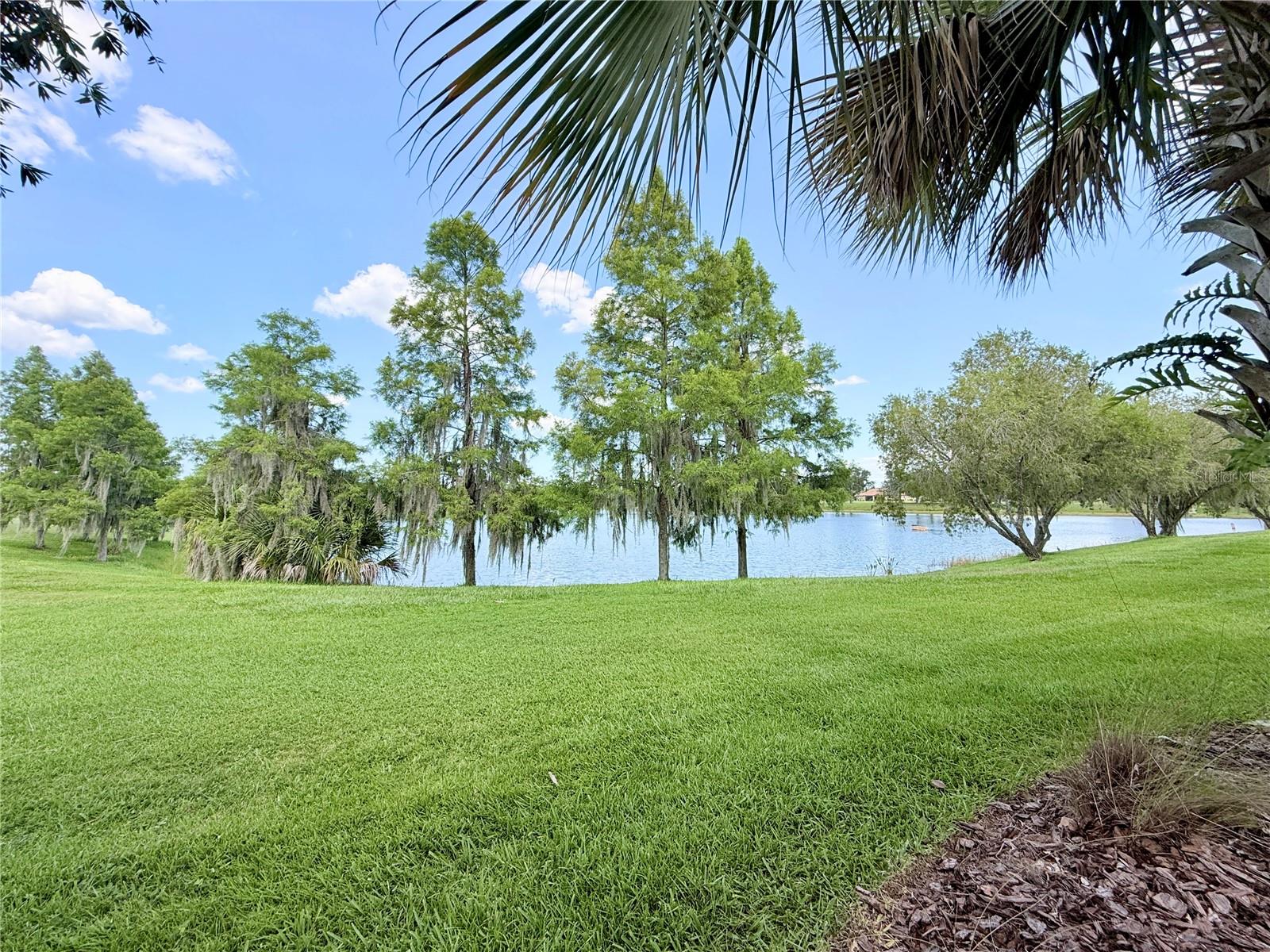 2316 Palm Tree Dr Property Photo 33