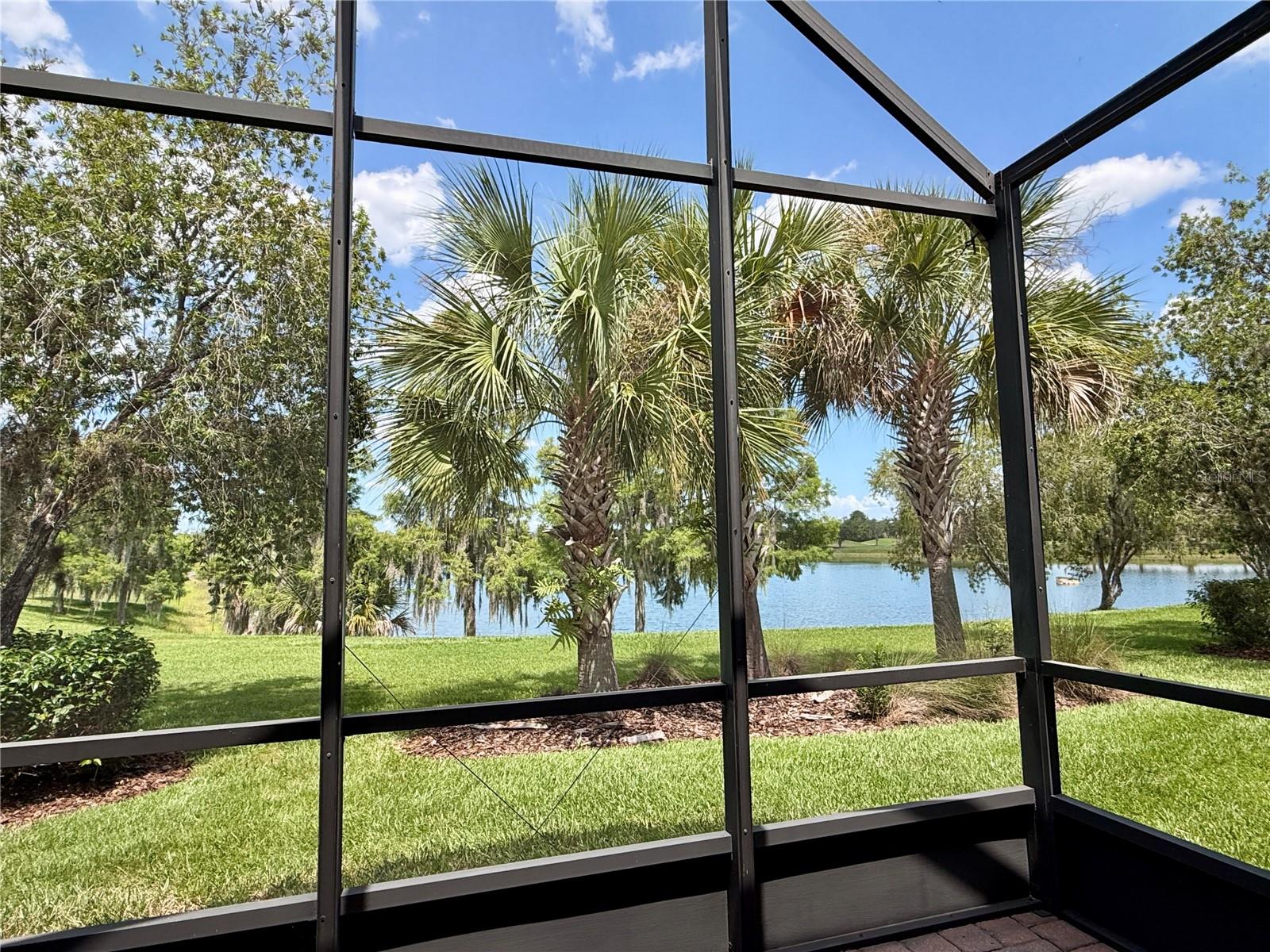 2316 Palm Tree Dr Property Photo 39