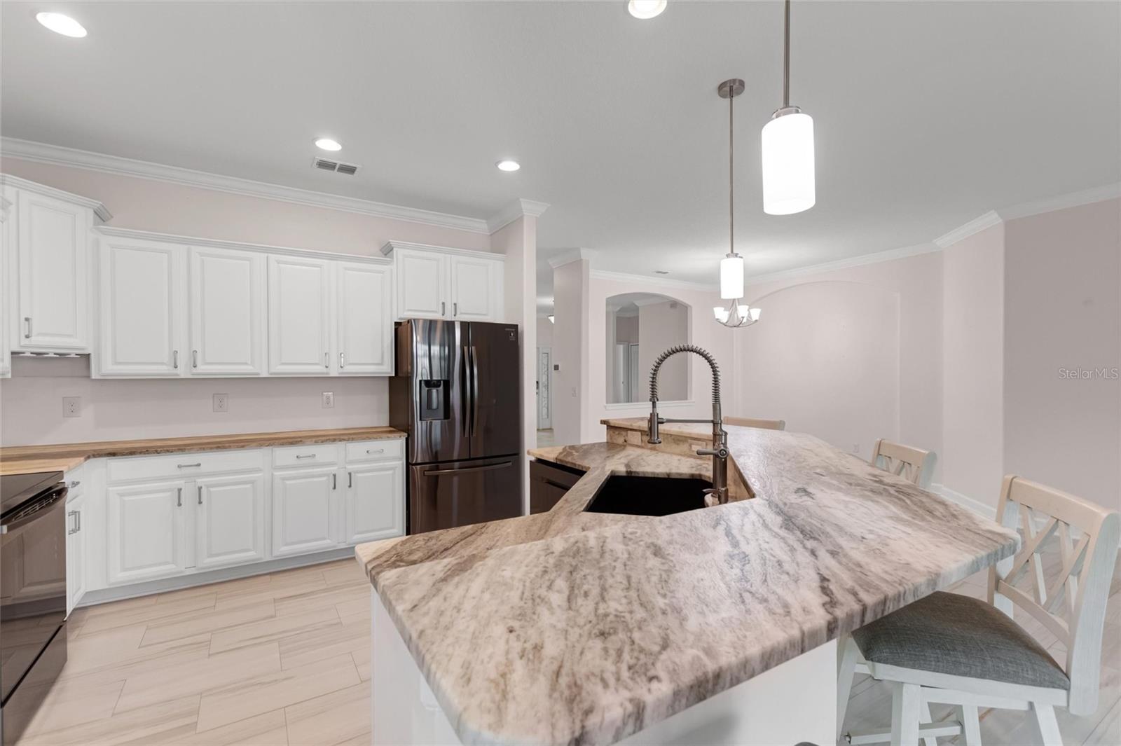 8972 Dove Valley Way Property Photo 11