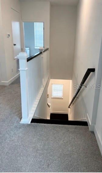 12632 Clear Sapphire Drive Property Photo 4
