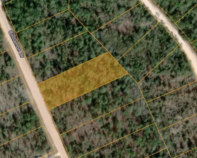 Cinnamon Dr Property Photo 2