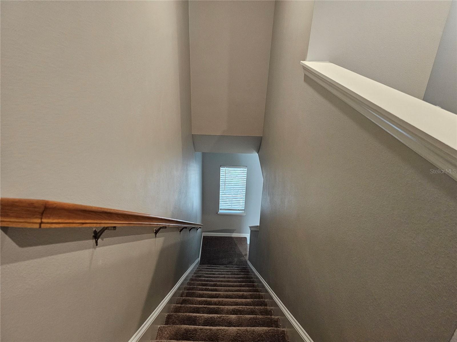 10548 Salt Grove St Property Photo 6