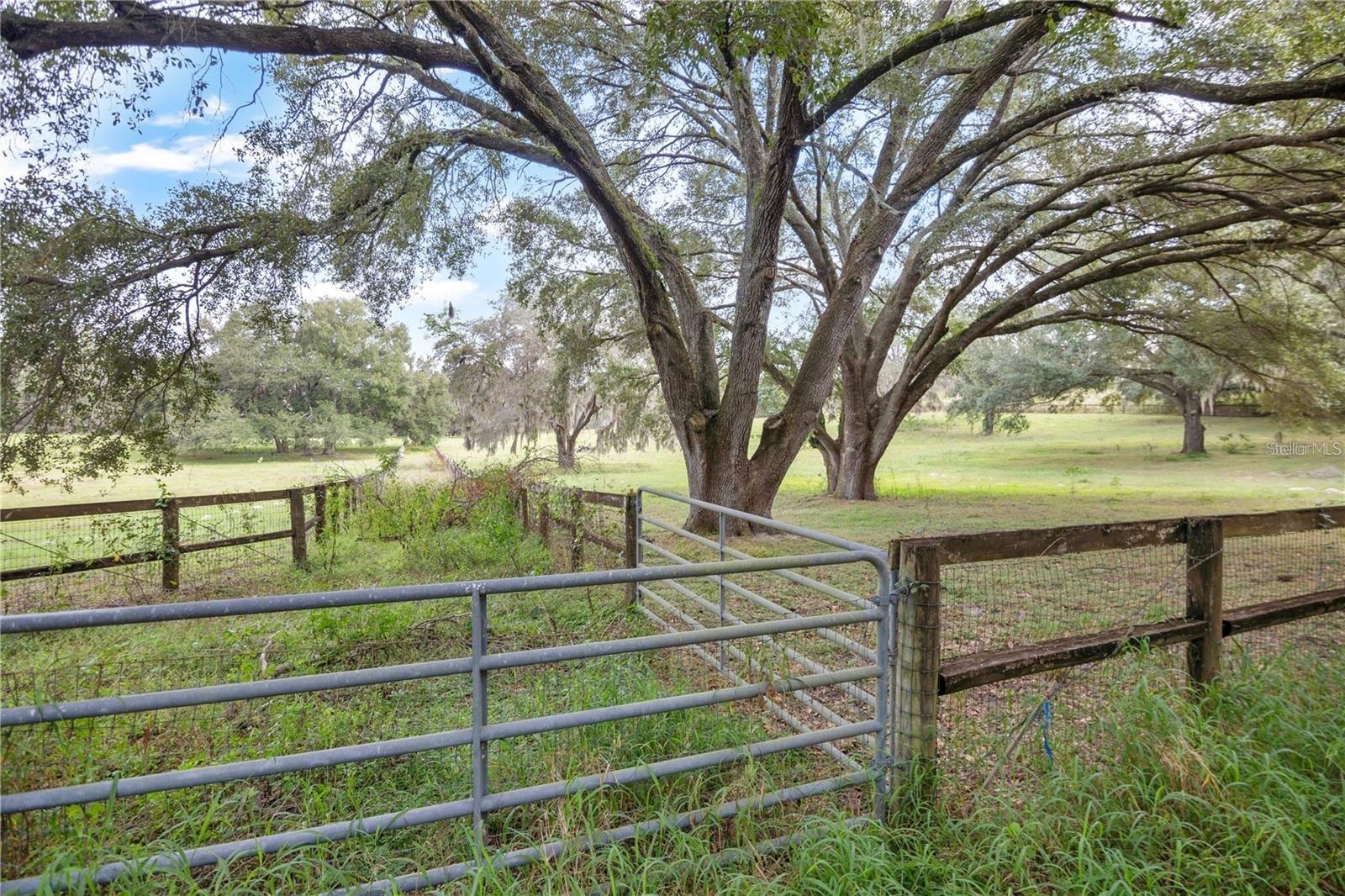 Micro Racetrack Rd Property Photo 7