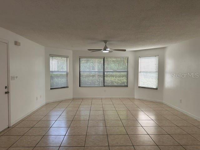 2803 Fox Squirrel Property Photo 4