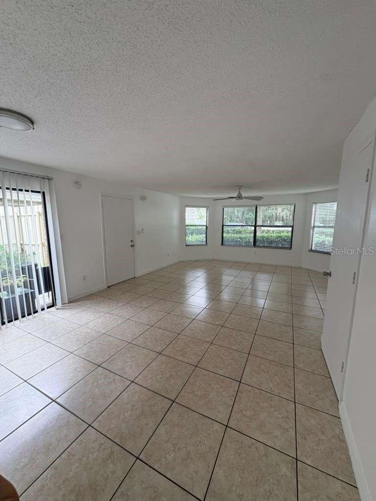 2803 Fox Squirrel Property Photo 5