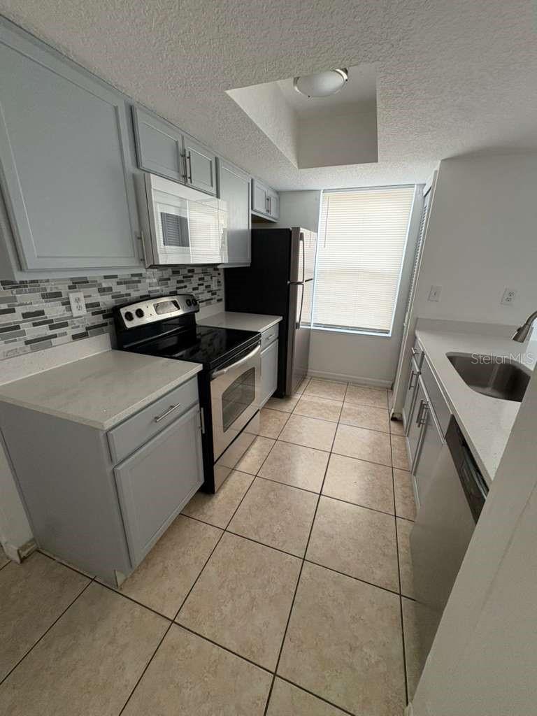 2803 Fox Squirrel Property Photo 10