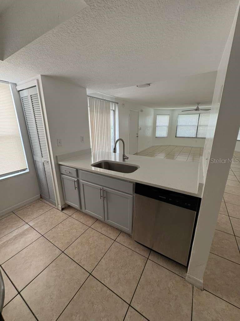 2803 Fox Squirrel Property Photo 11