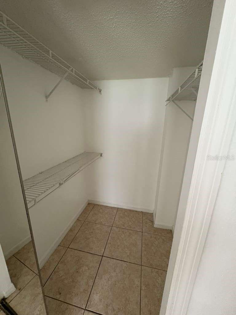 2803 Fox Squirrel Property Photo 17
