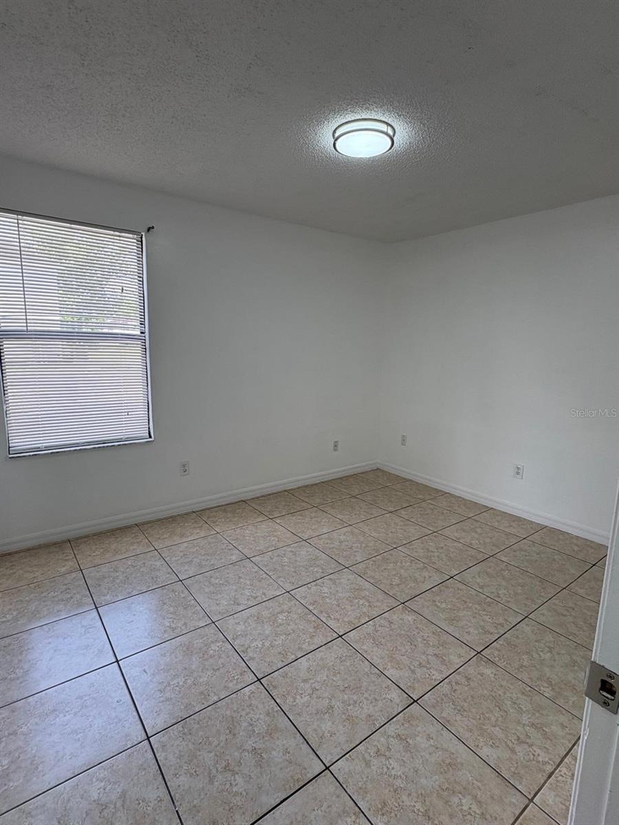 2803 Fox Squirrel Property Photo 20