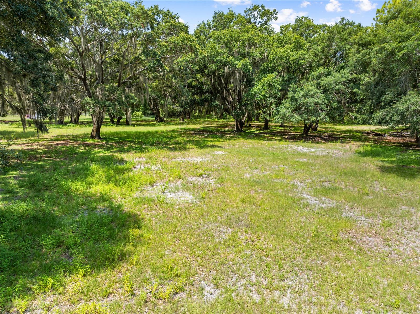 0 Hickory Tree Rd. Saint Cloud, Fl #34772 Property Photo 5