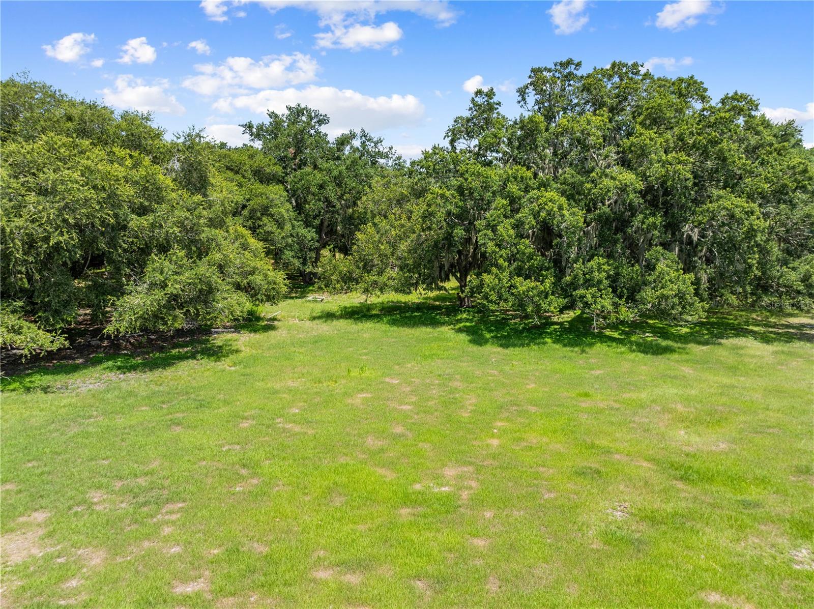 0 Hickory Tree Rd. Saint Cloud, Fl #34772 Property Photo 6