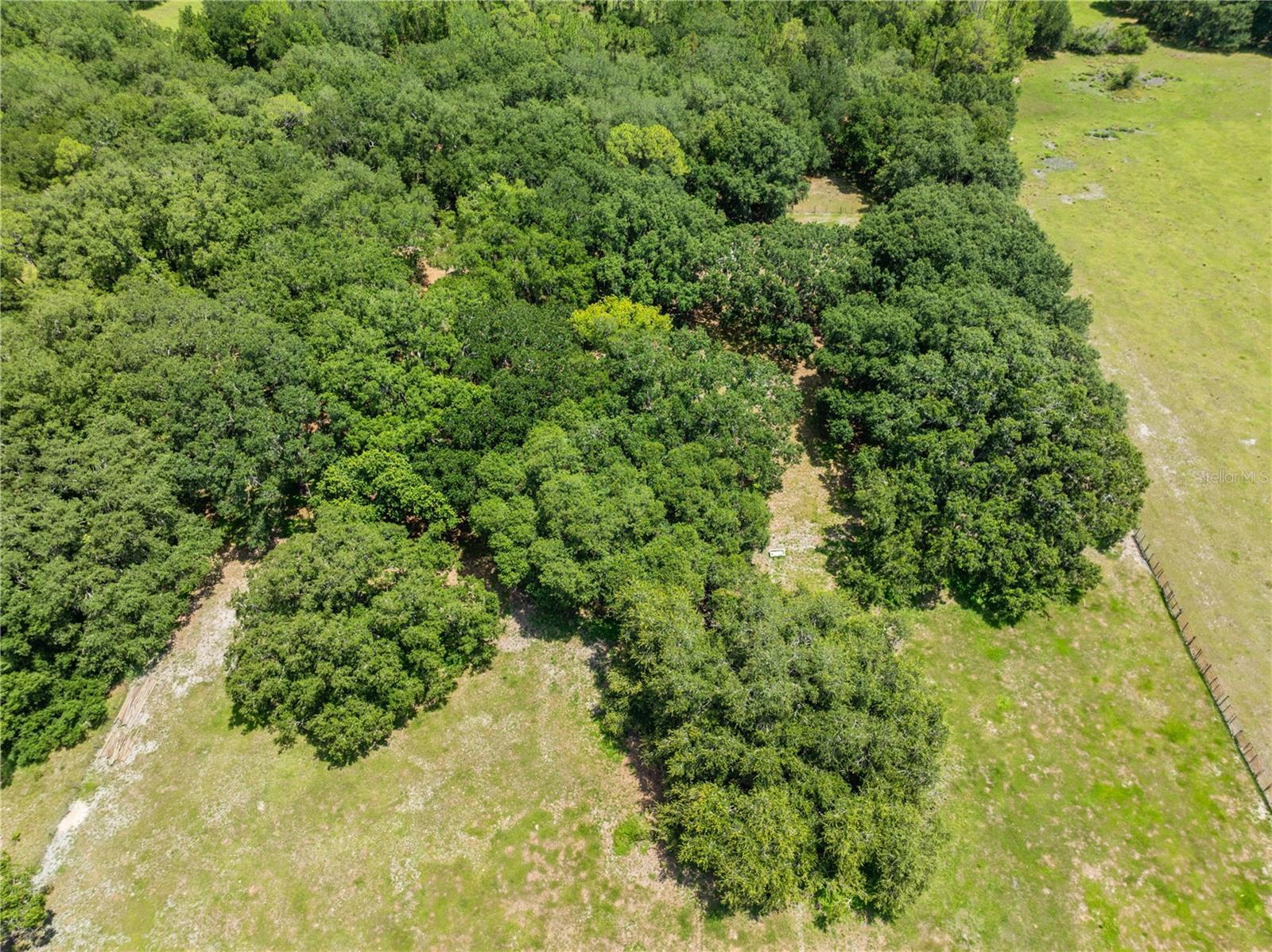 0 Hickory Tree Rd. Saint Cloud, Fl #34772 Property Photo 8