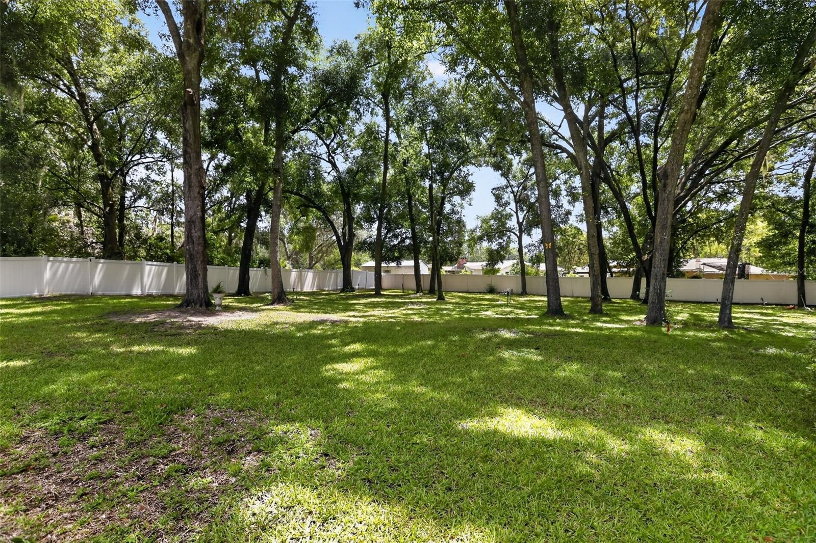 36320 Piney Ridge Blvd Property Photo 43