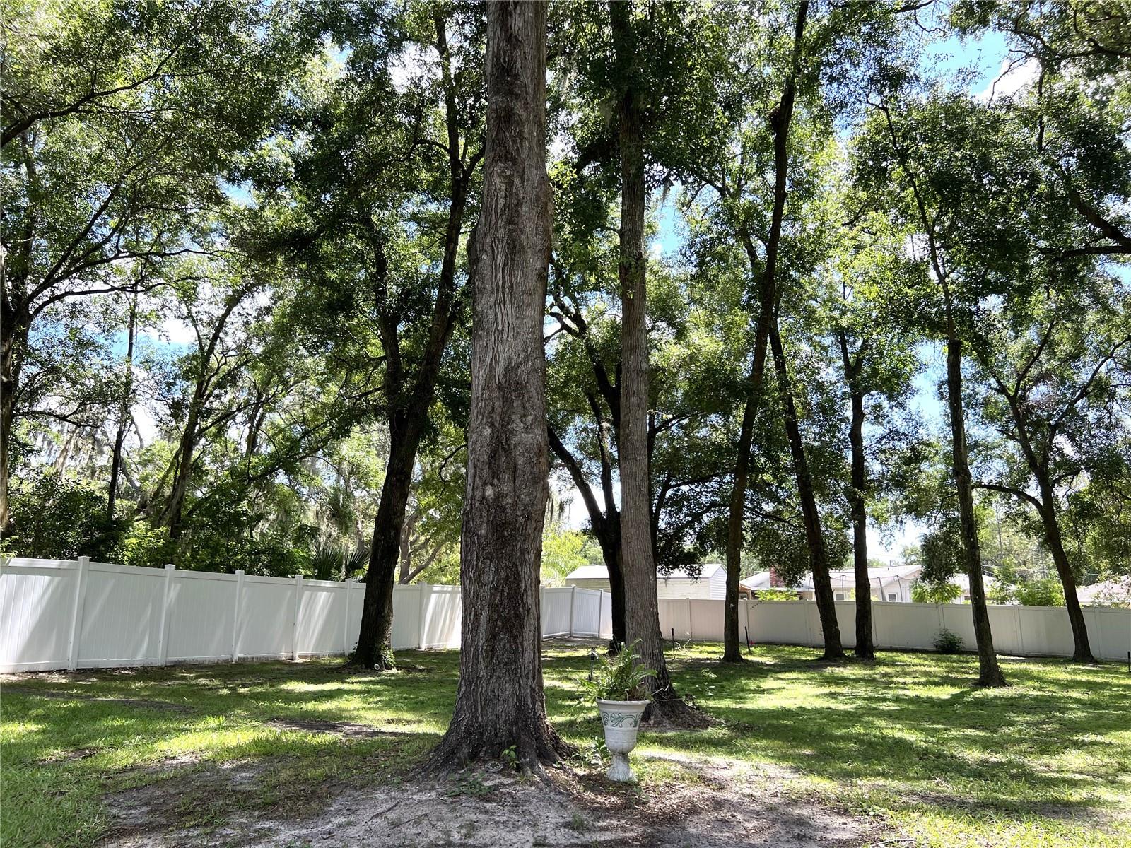 36320 Piney Ridge Blvd Property Photo 47