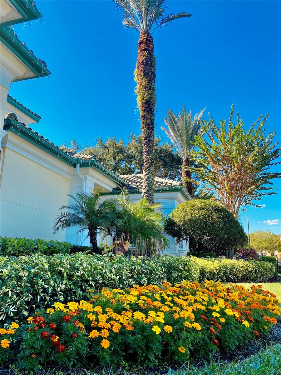 8828 Dunes Ct #12 304 Property Photo 38