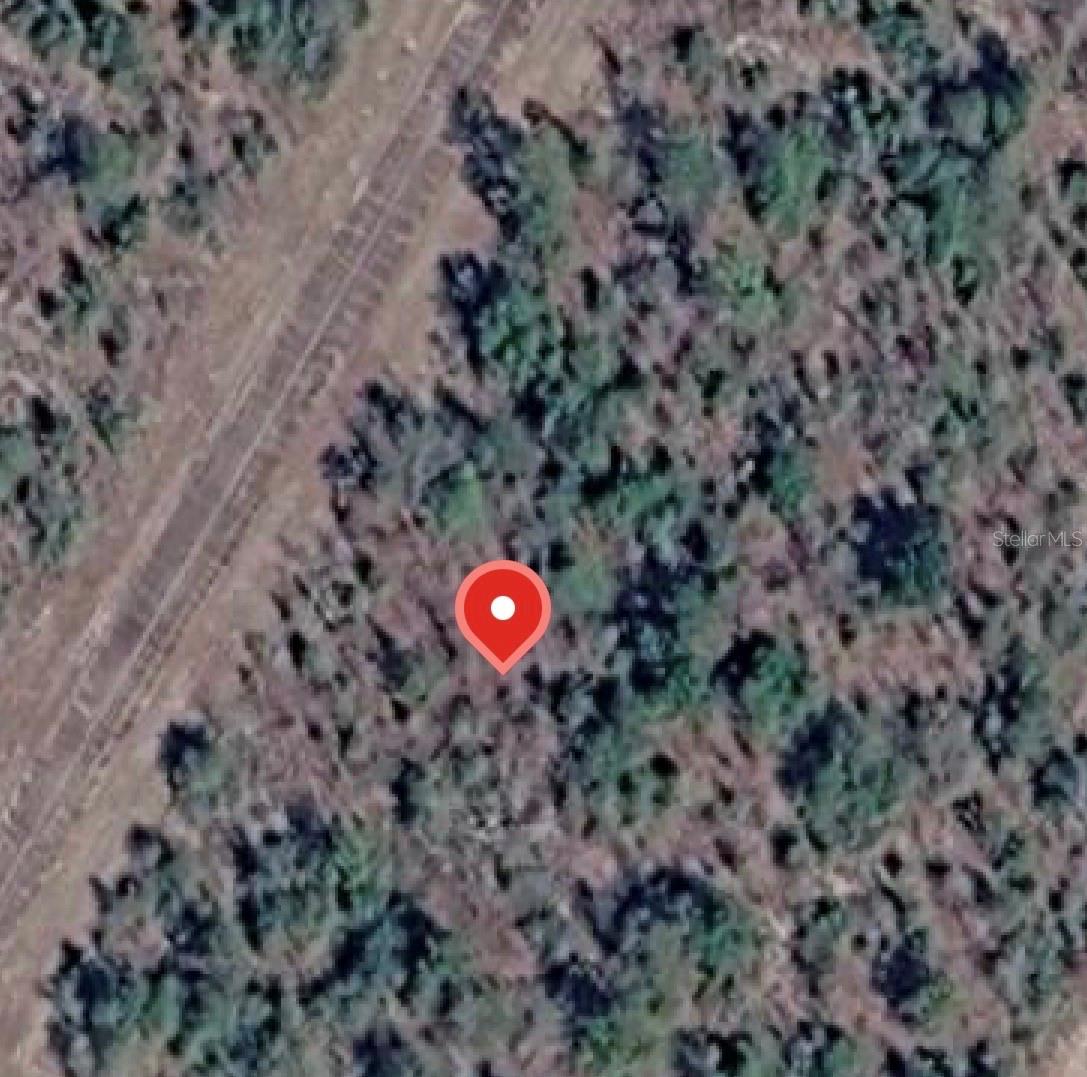 Lynnhaven Ln Property Photo 1