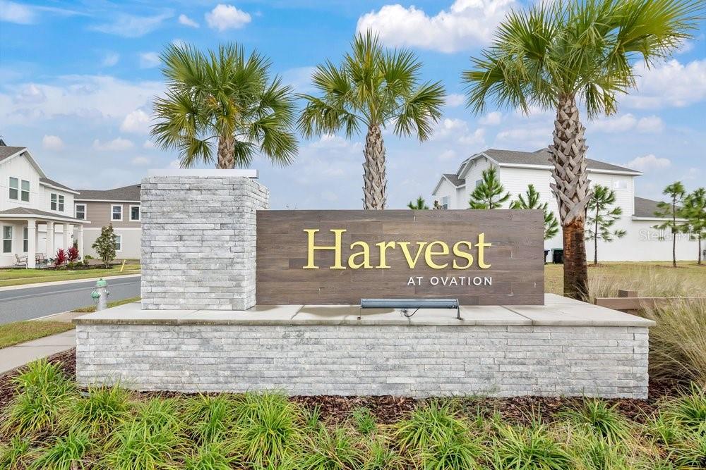 15026 Summer Harvest St Property Photo 6