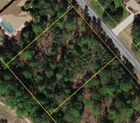 5579 N Mallows Cir Property Photo 1