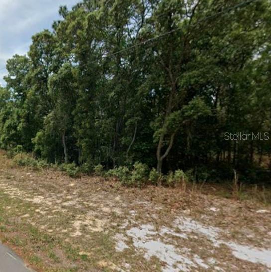 5579 N Mallows Cir Property Photo 3