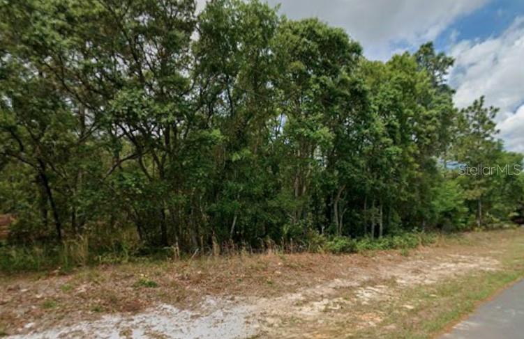 5579 N Mallows Cir Property Photo 4
