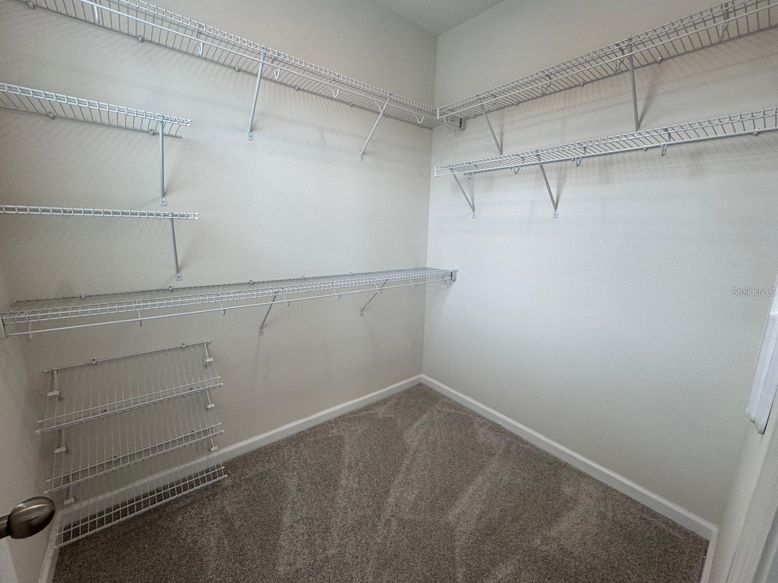486 Lady Palm St Property Photo 12