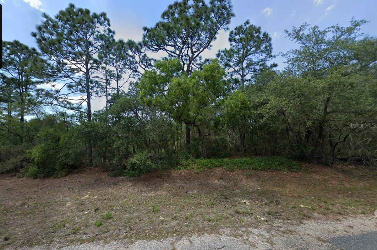8864 N Barbados Way Property Photo 3