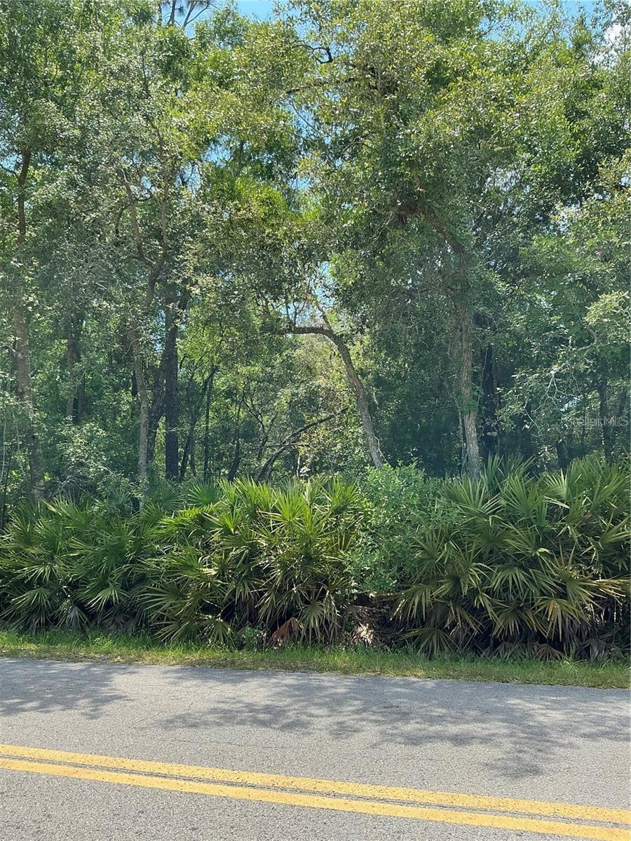 Lot 15 Nw 118th Ter Property Photo 1