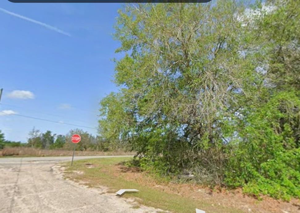 7714 N Walton Ter Property Photo 2