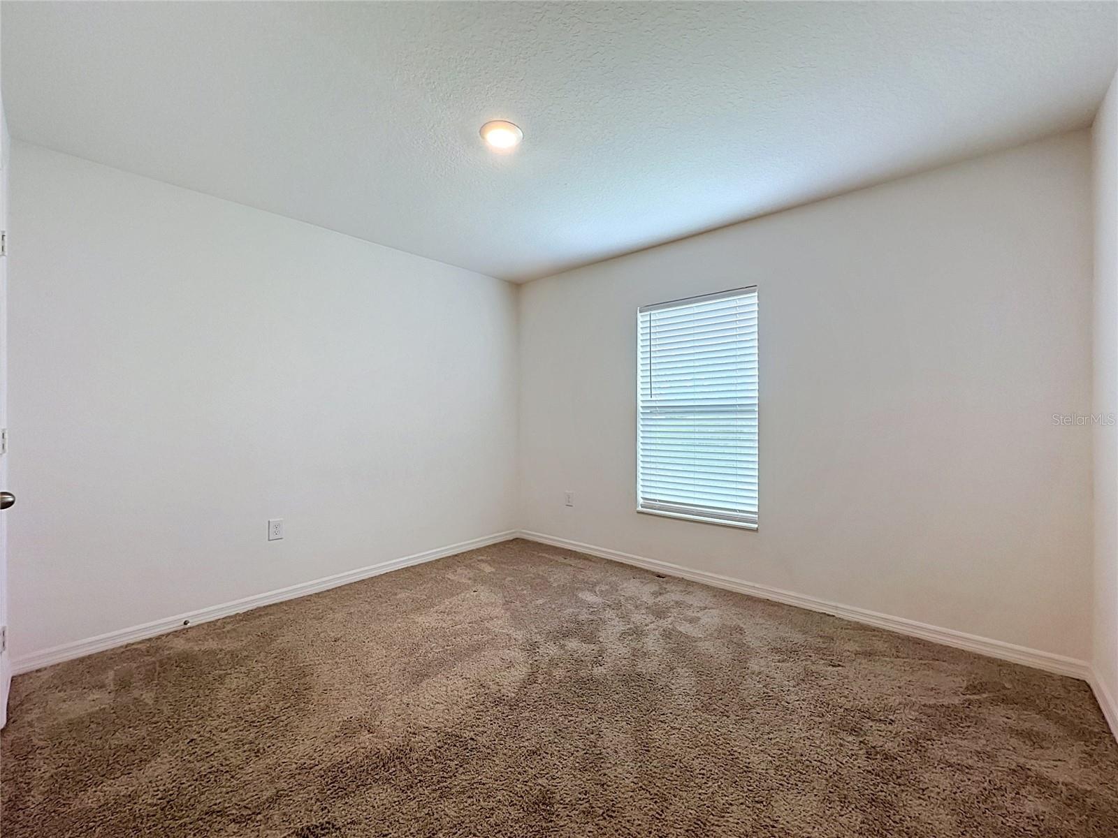1407 Hillsborough Way Property Photo 28