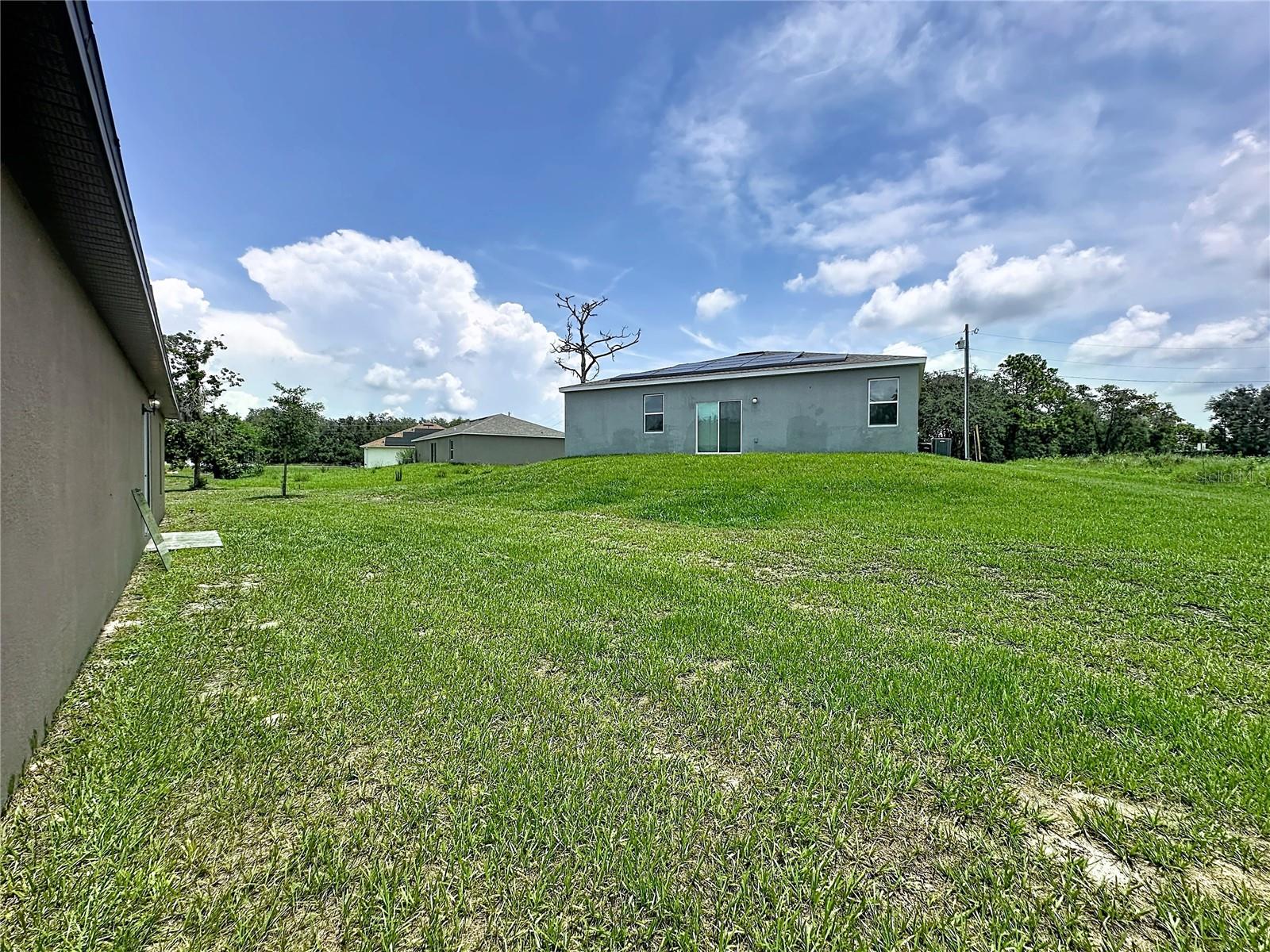 1407 Hillsborough Way Property Photo 36