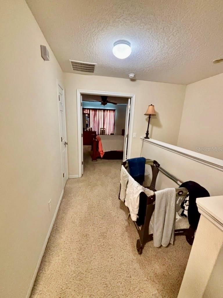 3605 Speckled Way Property Photo 12