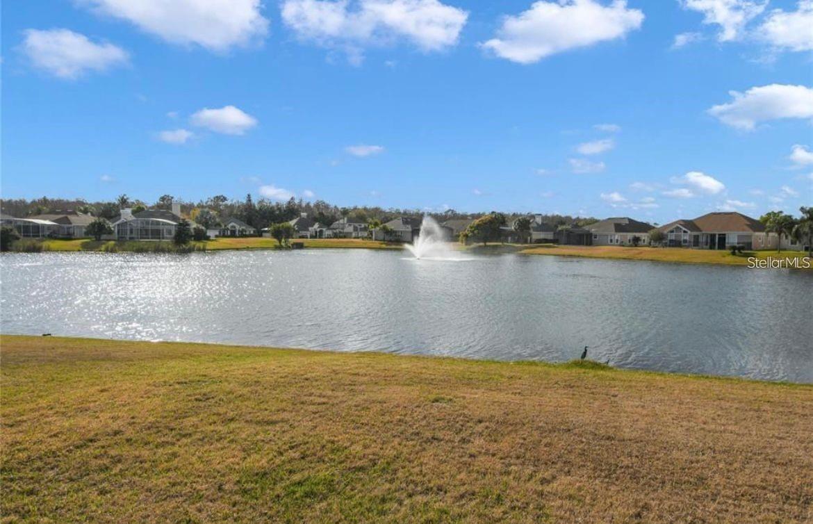 14506 Timucua Ct Property Photo 5