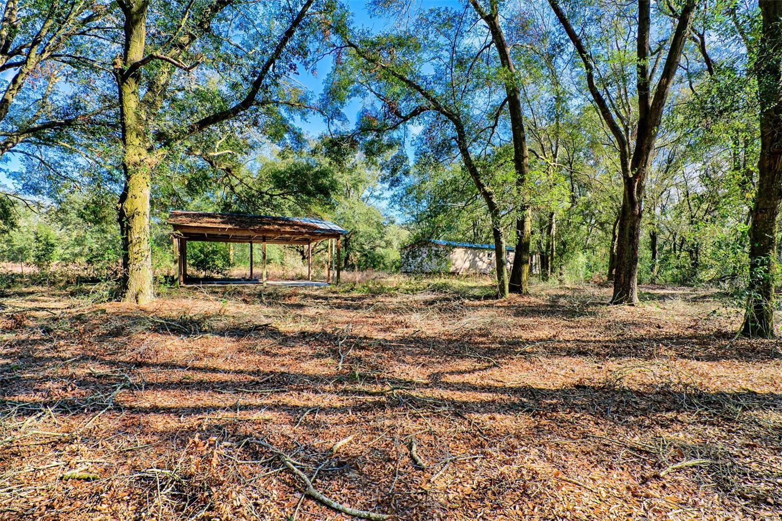 300 S Us Highway 129 Property Photo 18