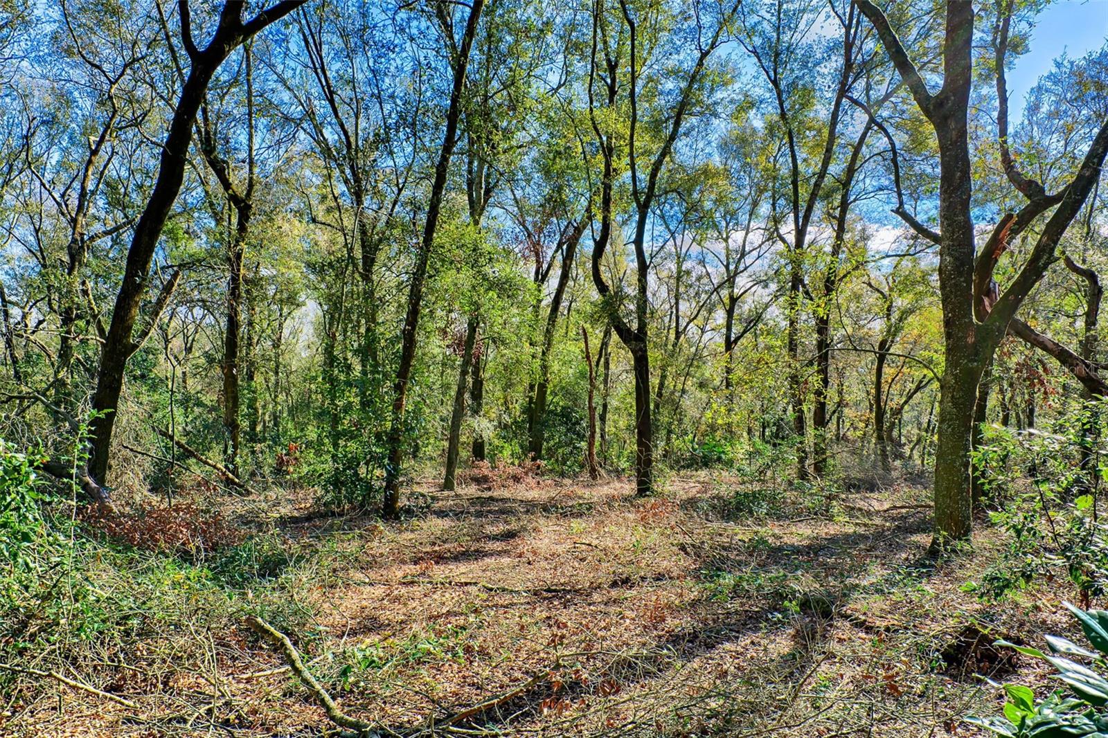 300 S Us Highway 129 Property Photo 21