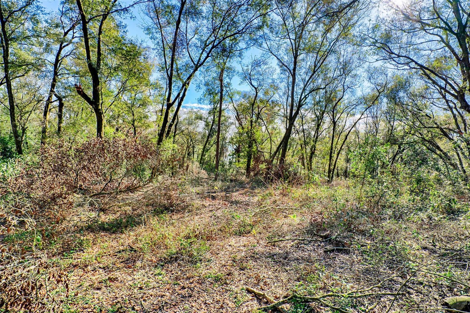 300 S Us Highway 129 Property Photo 22