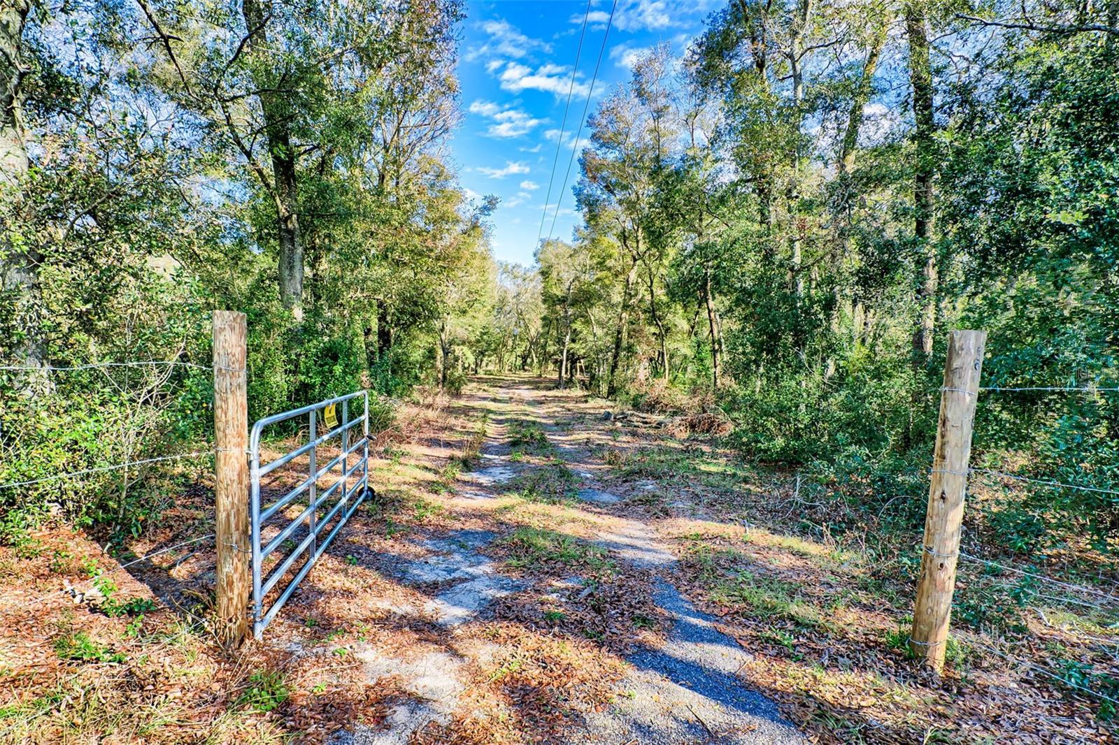 300 S Us Highway 129 Property Photo 23