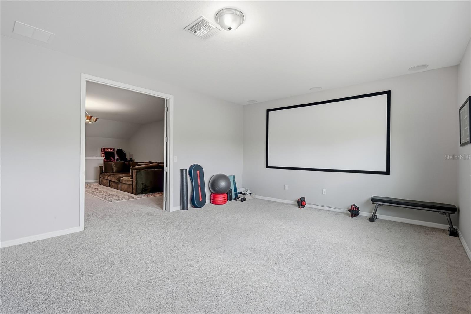 19284 Briarbrook Dr Property Photo 53
