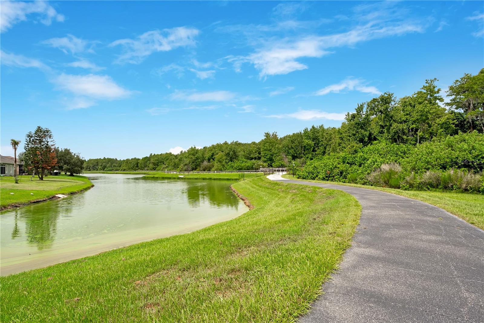 3571 Maple Ridge Loop Property Photo 45