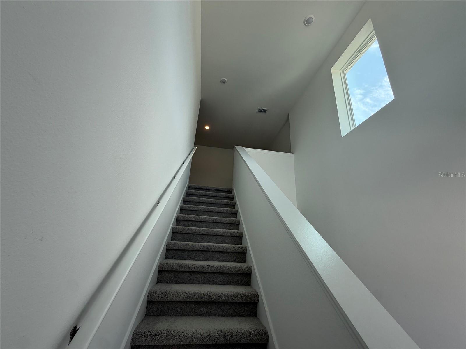 2466 Hallow Garden Rd Property Photo 13