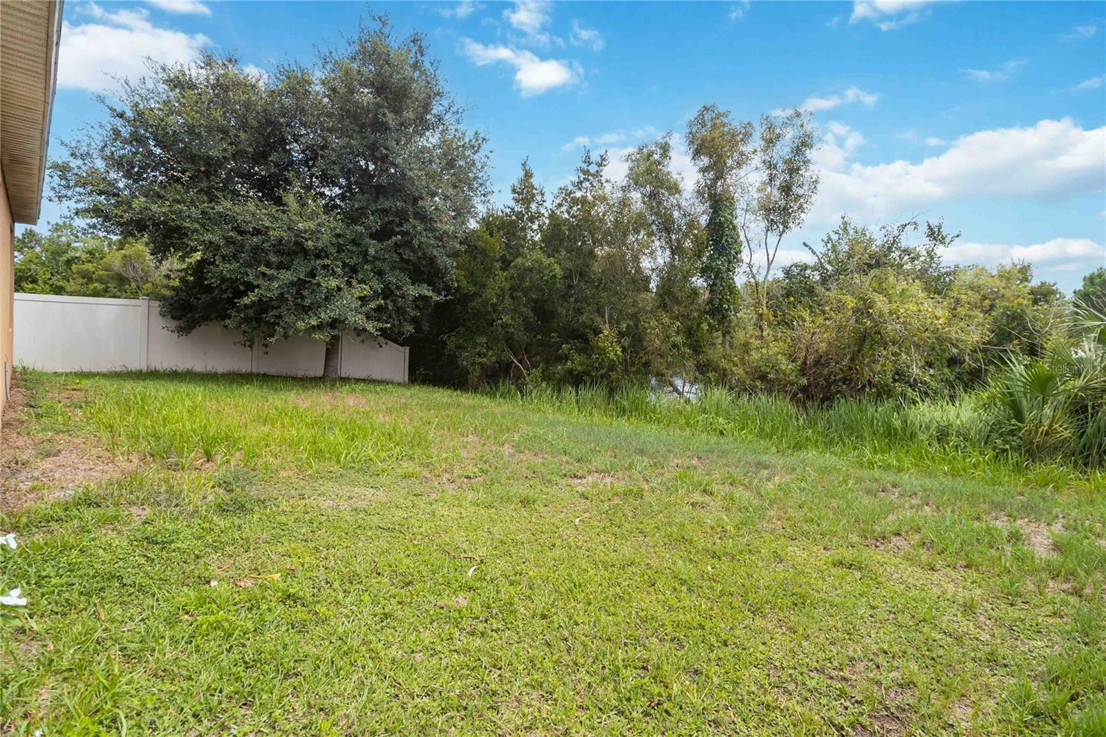 2318 Sequoia Way Property Photo 24