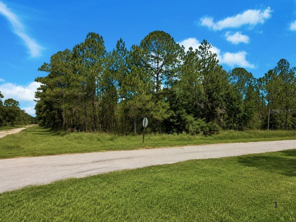 3250 PLUMOSA DR Property Photo 1