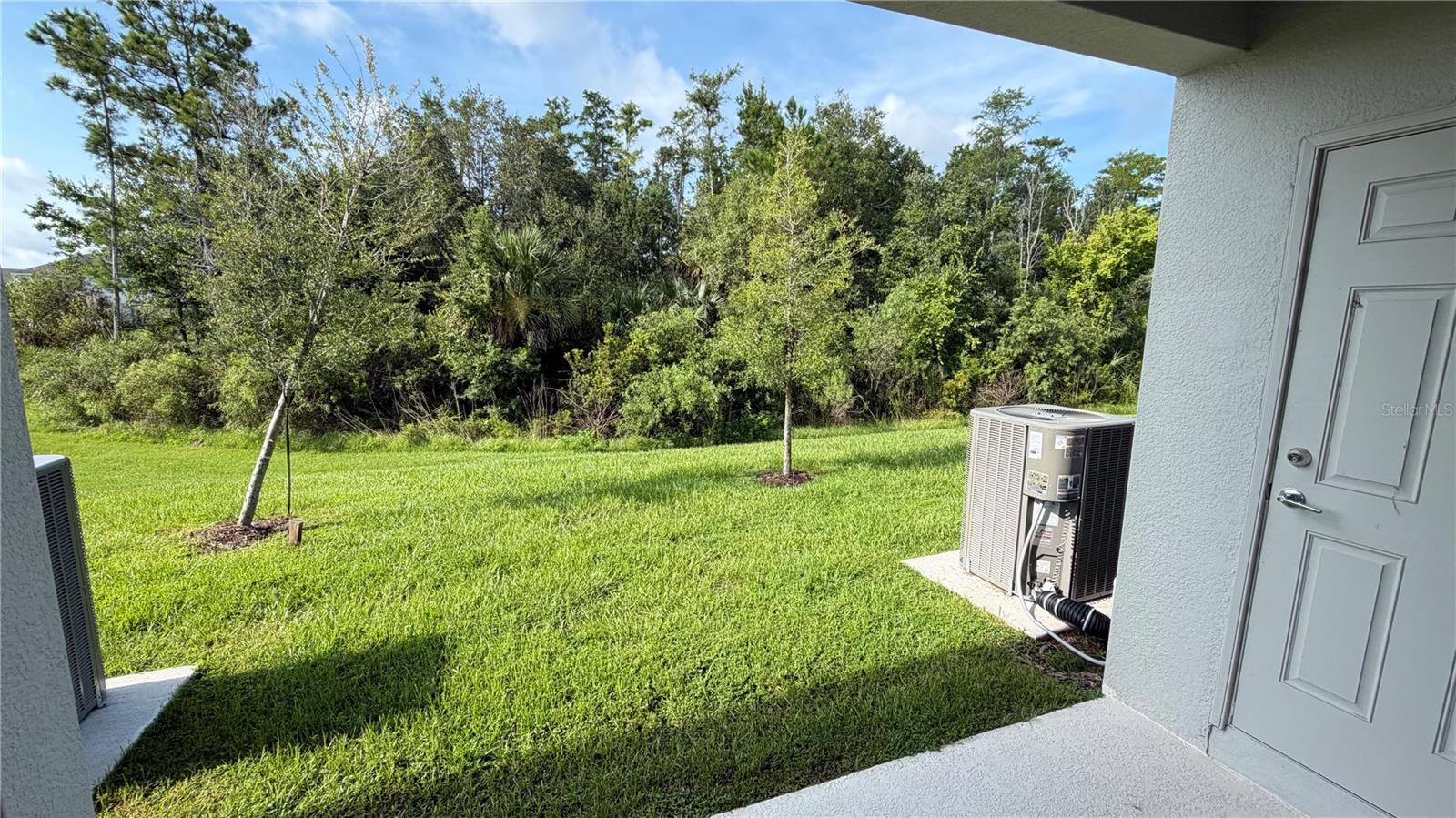 3119 Skyline Loop Property Photo 20